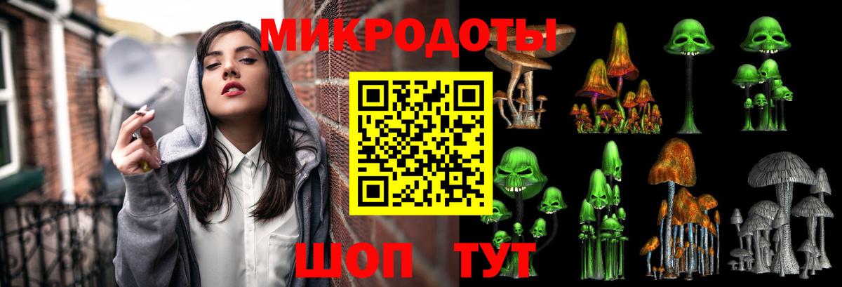 Гай  Галлюциногенные грибы мицелий  наркота  Вход с VPN  Псилоцибиновые грибы Psilocybine cubensis 