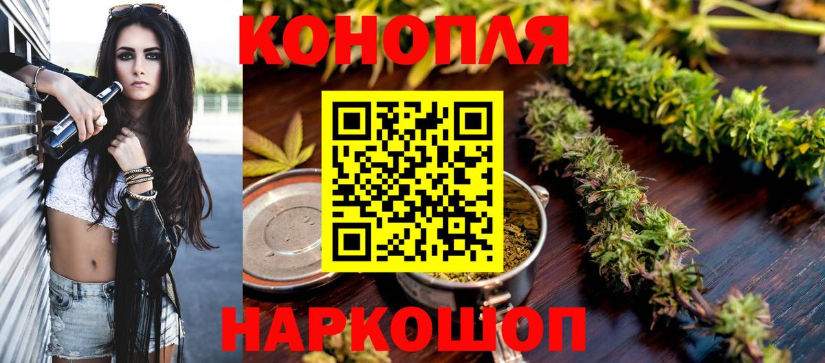 Конопля AK-47  Вход с VPN  Марихуана конопля  Шишки марихуана план  Гай  Каннабис сатива 